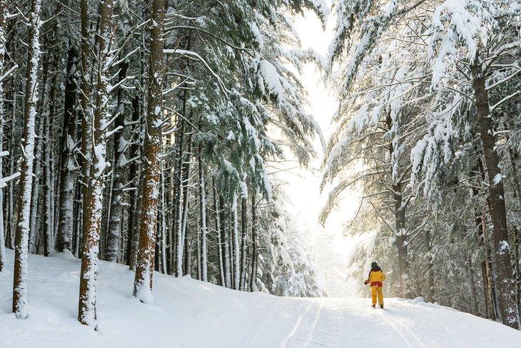 Ski de fond dans le Maine