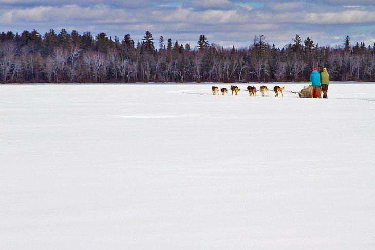 Traîneau à chiens sur un lac gelé dans le Maine