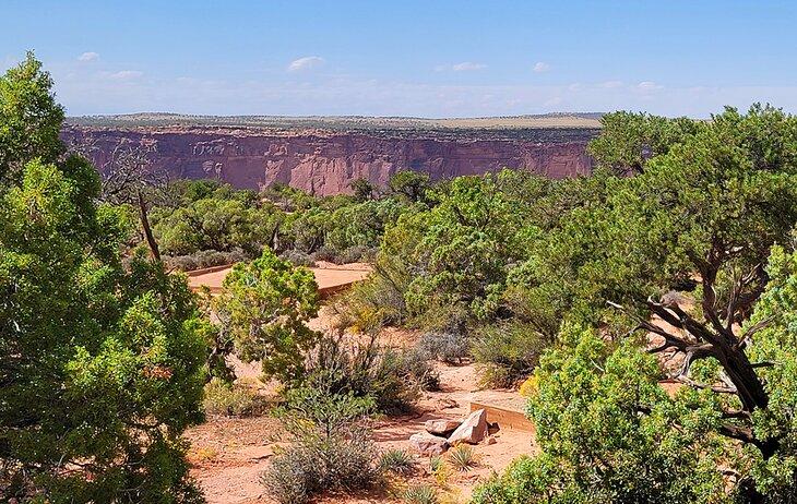 Sitios en Kayenta Campground en Dead Horse Point State Park