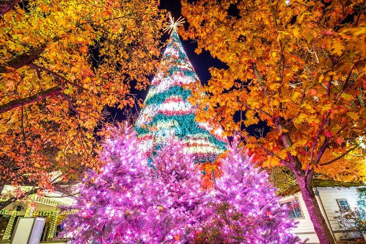 Árboles de Navidad en Branson, Missouri