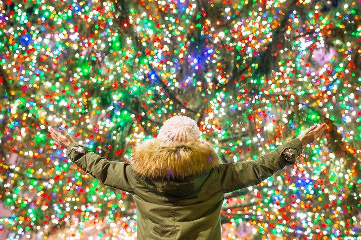 Disfrutando de las coloridas luces navideñas