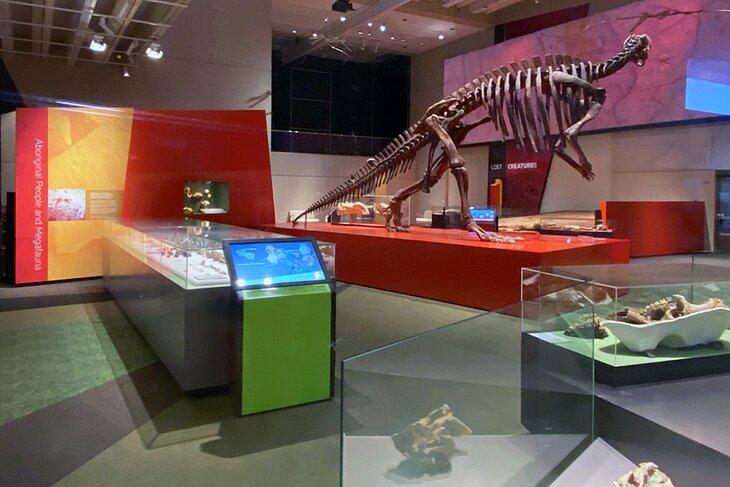 Esqueletos de dinosaurios en el Museo de Queensland