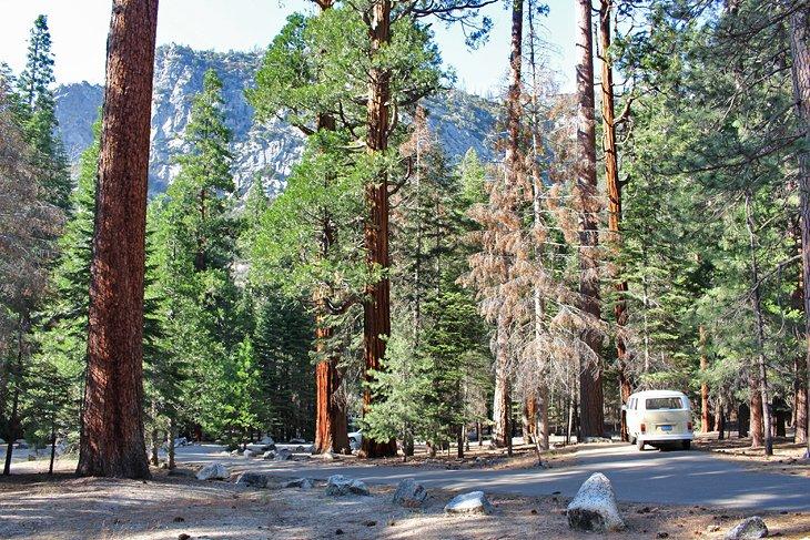 Camping Sheep Creek