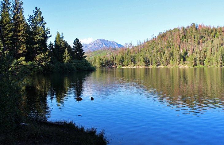 Camping Hume Lake