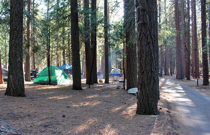 Camping Sentinel