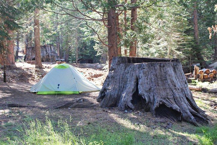 Camping Princess