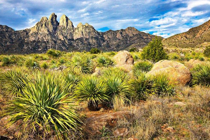 Montagnes Organ près de Las Cruces