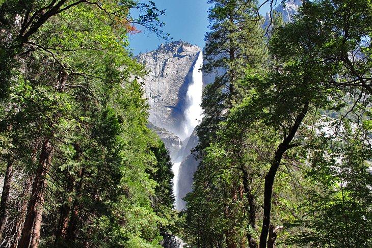 Sentier des chutes inférieures de Yosemite