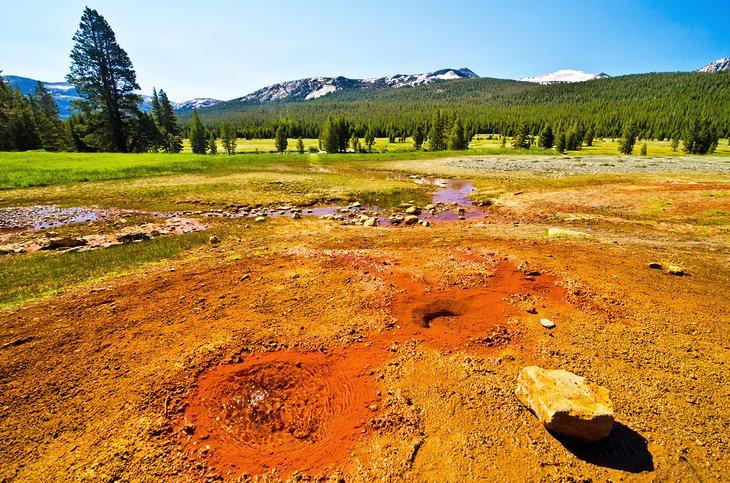 Soda Springs, parc national de Yosemite