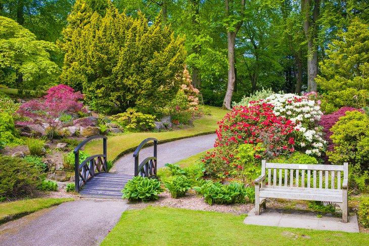 Flores en flor en los Jardines Johnston, Aberdeen