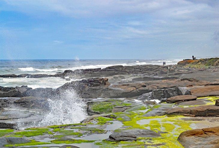 Costa de Yachats