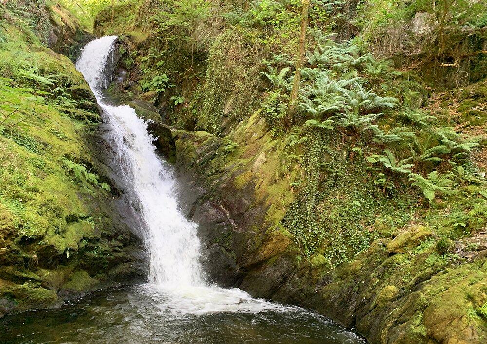 Dolgoch Falls