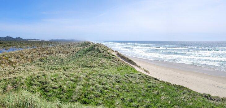 Dunas en el Muelle Sur del Río Siuslaw