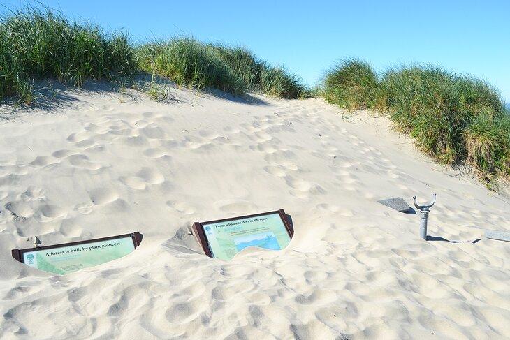 Área de Uso Diurno de las Dunas de Oregón