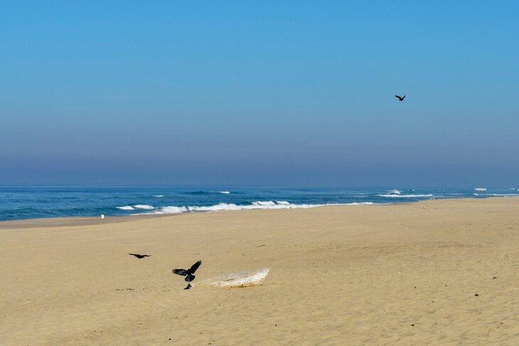 Playa Horsfall