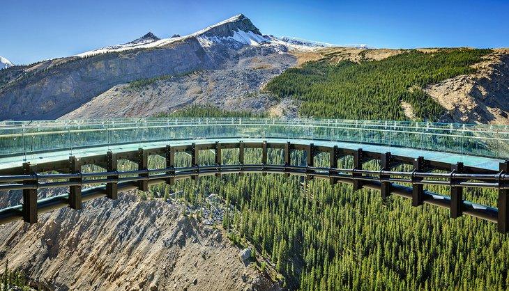 Der Skywalk in der Nähe des Columbia Icefield