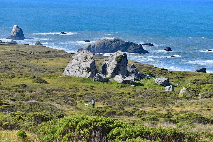 Rocas Mammoth