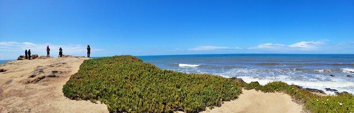 Panorama de Bodega Head