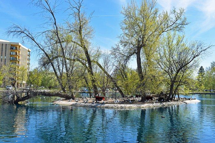 Gibson Park Ententeich