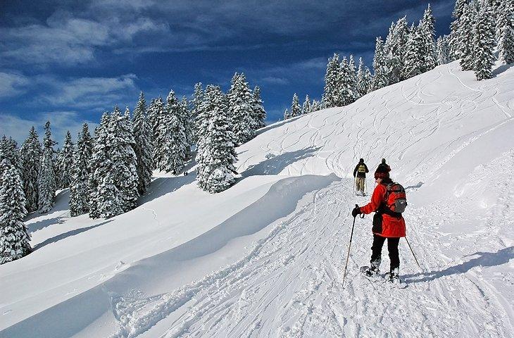 Schneeschuhwandern in der Nähe von Ashland