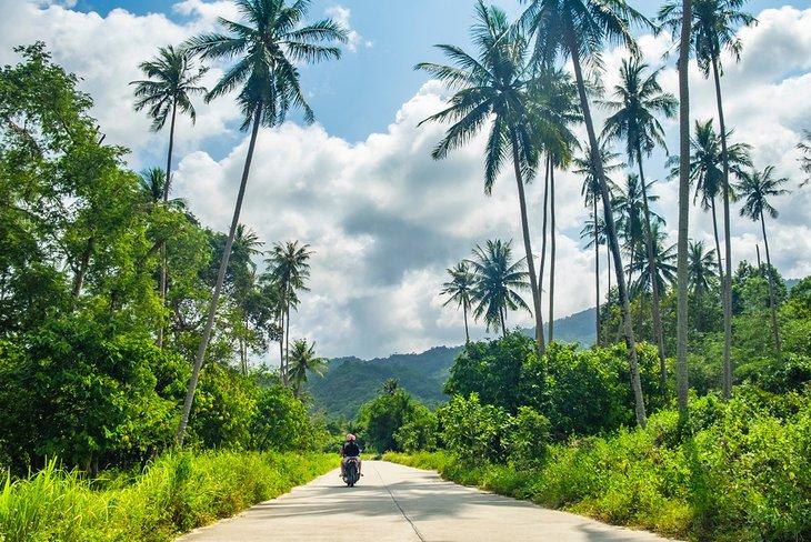 Scooter à Koh Samui