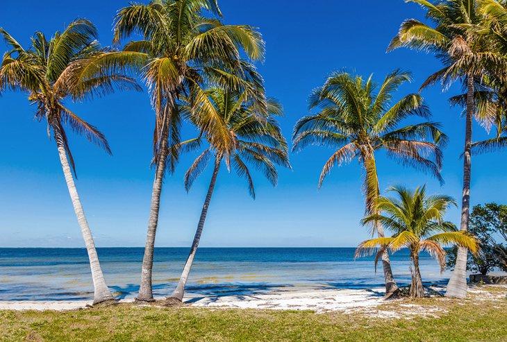 Isla Pine