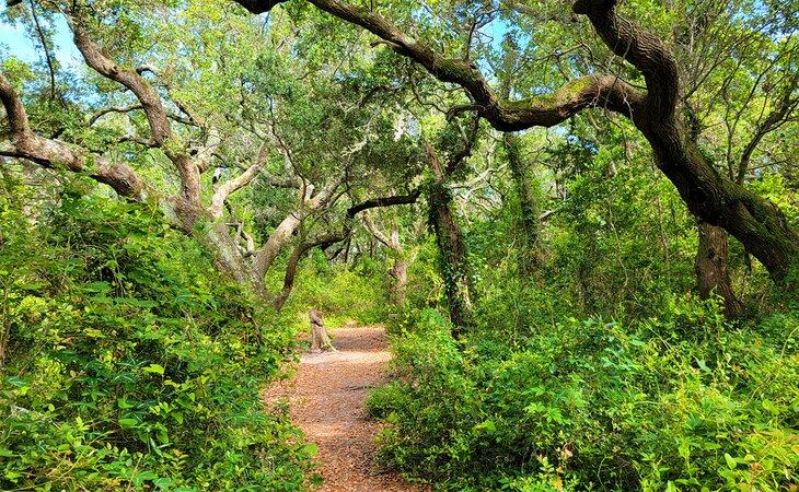 Un camino en Springer's Point Preserve