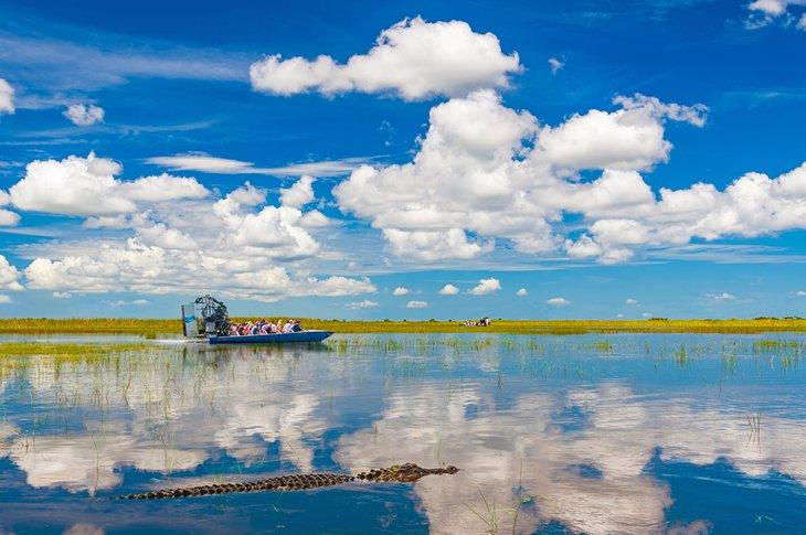 Cocodrilo y aerodeslizador en los Everglades de Florida