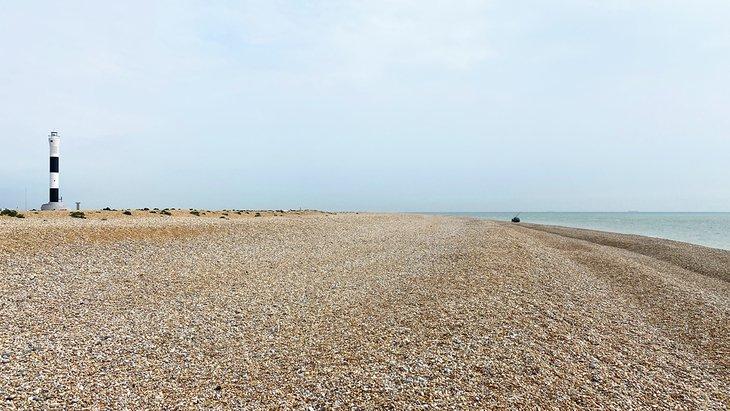 Dungeness Beach