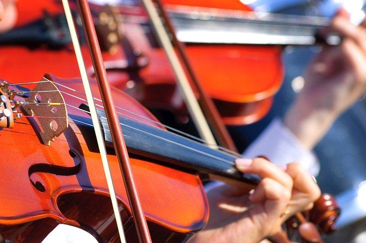 Violines en la sinfonía