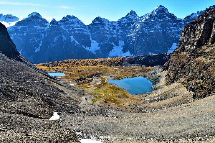 Vista desde Sentinel Pass sobre los árboles de Larch en otoño