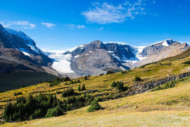 Wilcox Pass