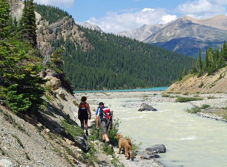 Senderistas en el sendero hacia las Cascadas del Glaciar Bow