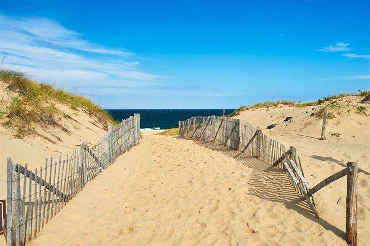 Sentier de plage sur Cape Cod