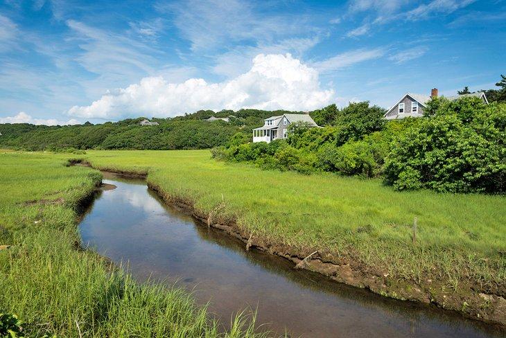 Ruisseau sur Martha's Vineyard
