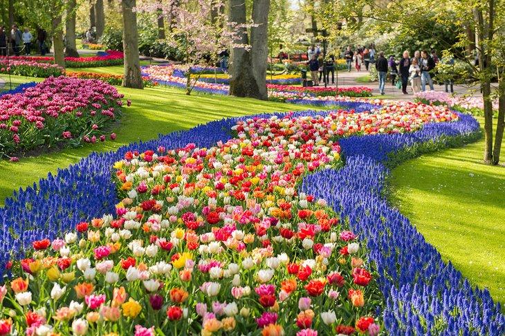 Parterres au Jardin Keukenhof