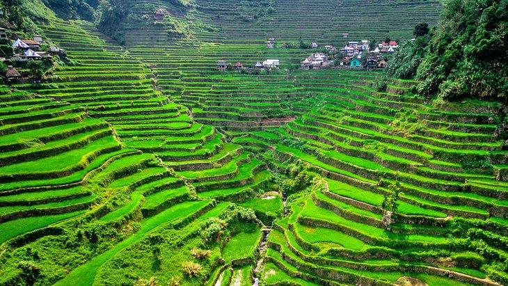 Reisterrassen in Ifugao, Philippinen