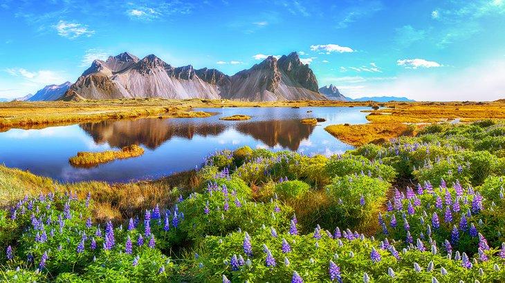 Stokksnes-Kap, Island
