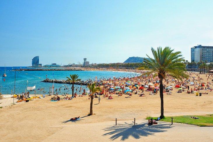 Playa Barceloneta
