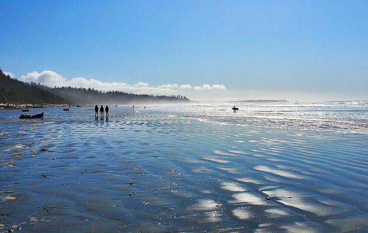 Marea baja en una playa en el Parque Nacional Pacific Rim
