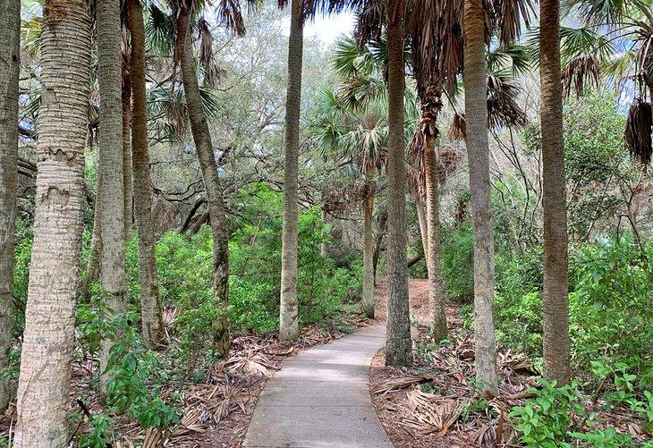 El Bosque de Frenchman's