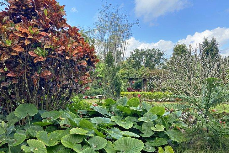 Un día soleado en el Jardín Botánico de Mounts