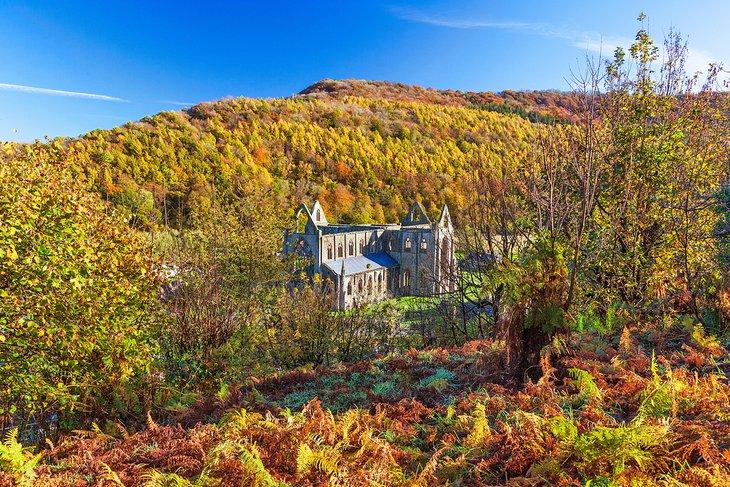 Abadía de Tintern