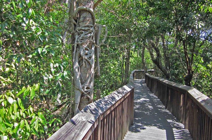 Sentier en bois au Gumbo Limbo Nature Center
