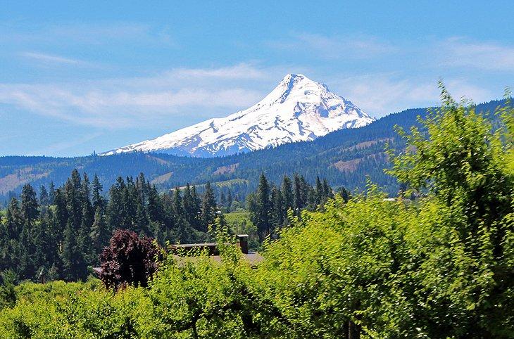 Monte Hood