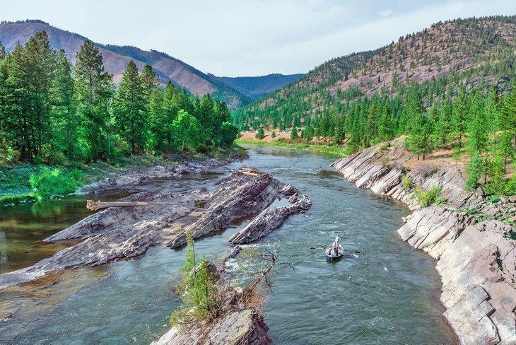Fliegenfischen durch die Alberton River Gorge auf dem Clark Fork River