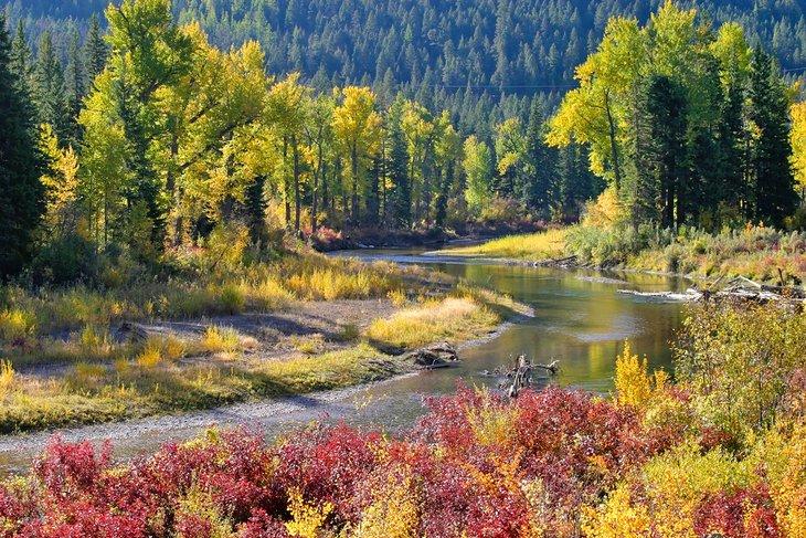 Herbstfarben entlang des Blackfoot River