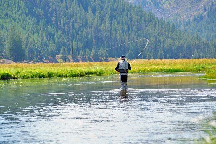 Ein Angler am Madison River