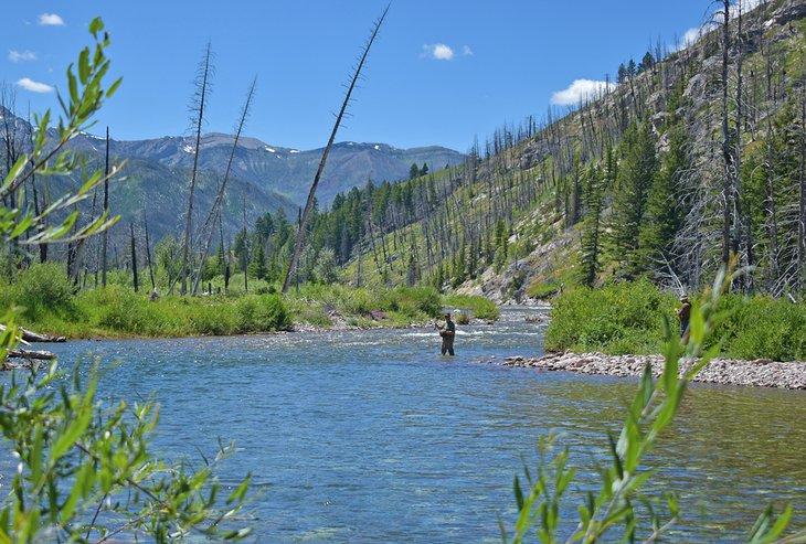 Fliegenfischen am South Fork Sun River