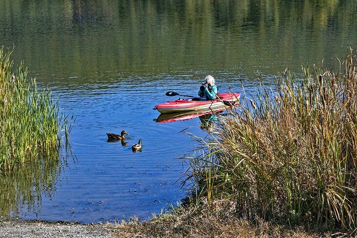 Paseo en kayak por el West River